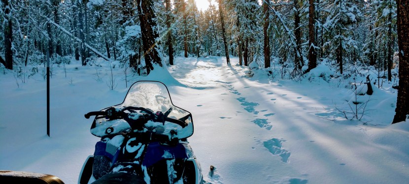Winter Adventures