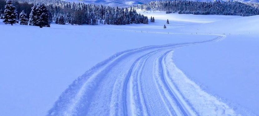Snowmobile Tours