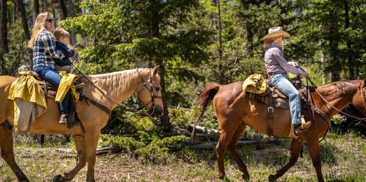 Horse Back Adventure